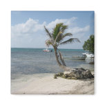 Majahual Fishing Village Magnet