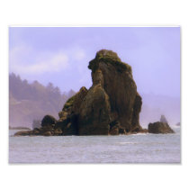 Majestic 8x10 Print Photographic Print