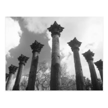Majestic Columns of Windsor Ruins - Port Gibson MS Postcard