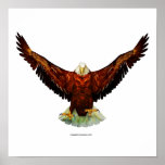 Majestic Eagle Print