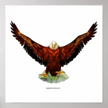 Majestic Eagle Print