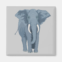 Majestic Elephant Fridge Magnets