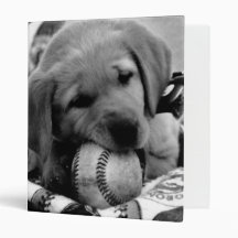 Major League Puppy Avery Binder