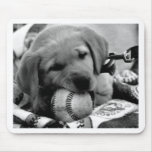 Major League Puppy Mousepads