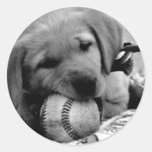 Major League Puppy Sticker