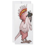 Major Mitchell Cockatoo rack cards