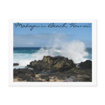 Makapu'u Beach Postcard