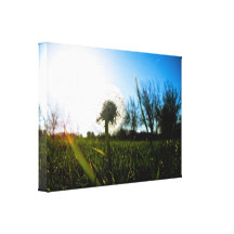Make a Wish 01 Stretched Canvas Print