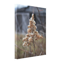 Make a wish canvas prints