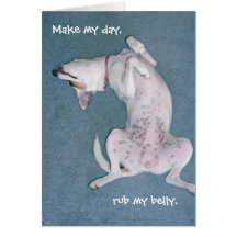 "Make my day, rub my belly." Cards