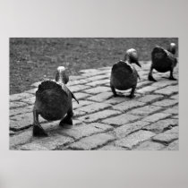 Make Way for Ducklings Posters