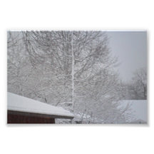 make your own photo prints