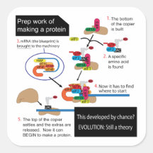 Making a protein square stickers