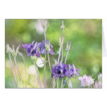 Making Seeds - Blue Columbines Greeting Cards