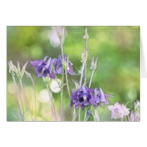 Making Seeds - Blue Columbines Greeting Cards