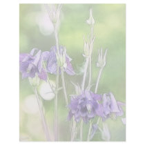 Making Seeds - Blue Columbines Letterhead Design