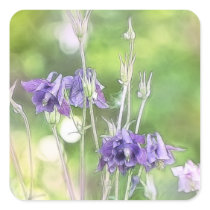 Making Seeds - Blue Columbines Sticker