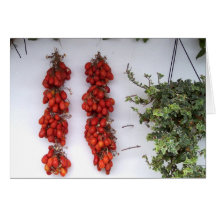Making Sun Dried Tomatoes Postcard