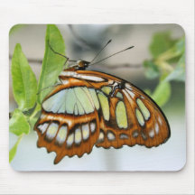 Malachite Butterfly Vertical Mouse Pad