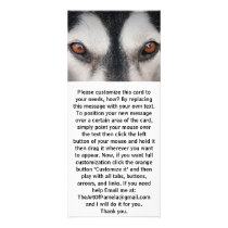 Malamute Dog Brown Eyes rack cards