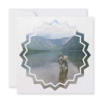 Malamute Dog Photo Design Invitation