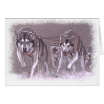 Malamutes Mushing Carte De Vœux