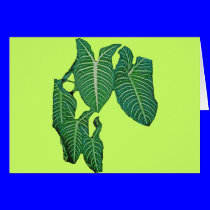 MALANGA FOR YEMAYA cards