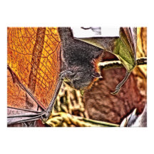Malayan Flying Fox Giant Bat Painting Custom Invitations