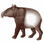 Malayan Tapir / Asian Tapir Magnet for your Fridge photo sculptures