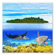 Maldives atoll photographic print