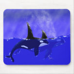Male and Female Orca in Ocean mousepads
