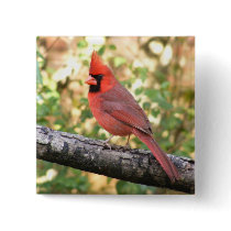 MALE CARDINAL PINS