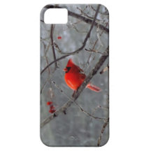 Male cardinal iPhone 5 case