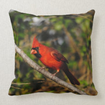Male Cardinal Pillow