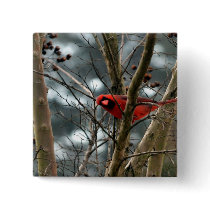 Male Cardinal Playing Funny Pinback Button