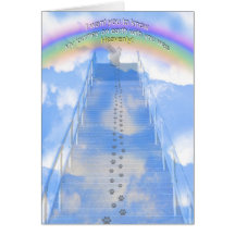 Male Cat Sympathy Card - Stairway to Heaven