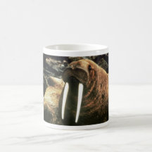 Mâle de morse tasse