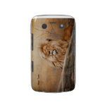 Animal BlackBerry Bold Cases