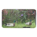 Male Mallard Ducks iPod Touch Covers