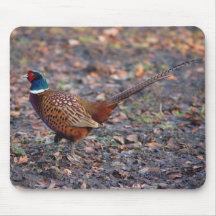 Male pheasant mouse pads