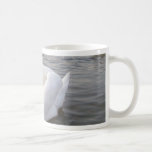 Male White Swan With Young Swans Coffee Mugs