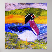 Male Wood Duck Print