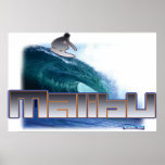 Malibu Beach Surfing Poster