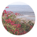 Malibu stickers
