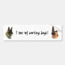 malinois_and_gsd bildekal