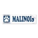 Malinois Blue