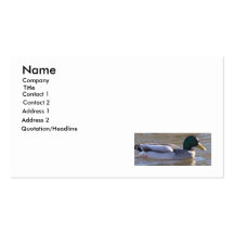 Mallard - Business Business Card Templates