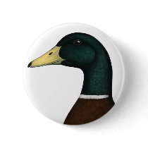 Mallard Drake Head Button