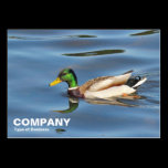 Mallard Duck business cards