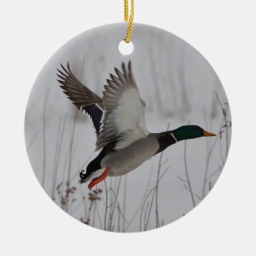 Mallard Duck Christmas Ornaments